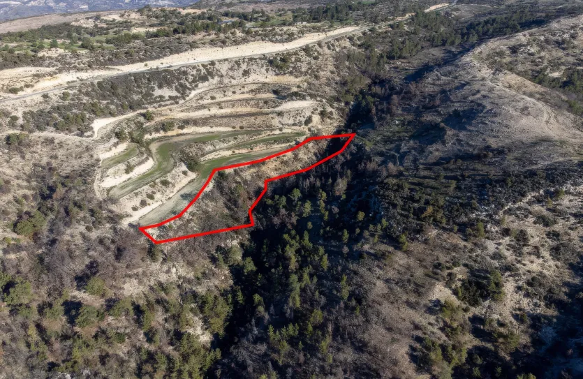 Сельхоз земля - 18273, photo 2