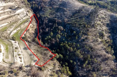 Сельхоз земля - 18273, photo 2