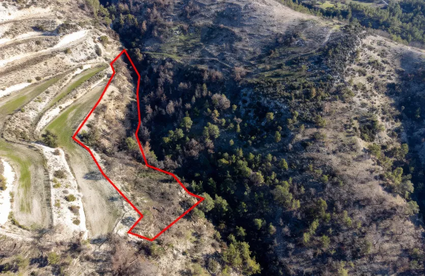 Сельхоз земля - 18273, photo 3