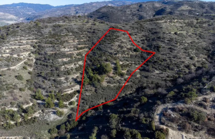 Сельхоз земля продажа - 18270