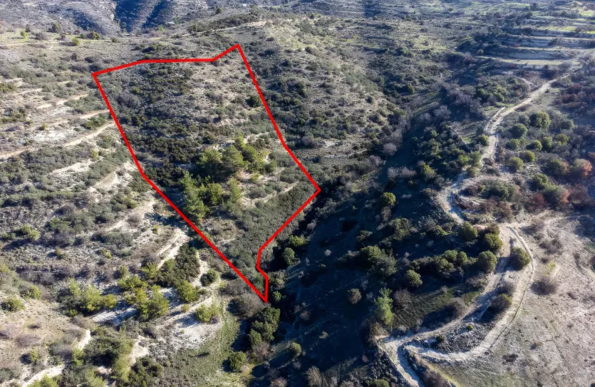 Сельхоз земля - 18270, photo 2