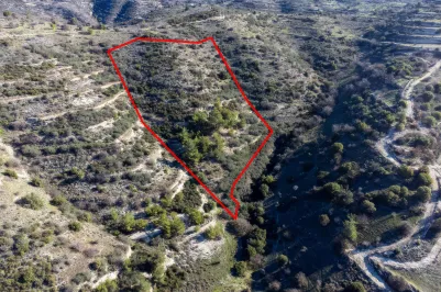 Сельхоз земля - 18270, photo 2