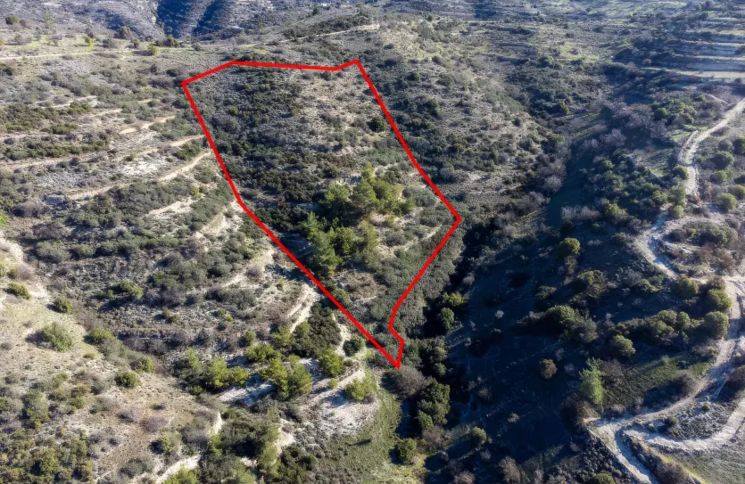 Сельхоз земля - 18270, photo 3