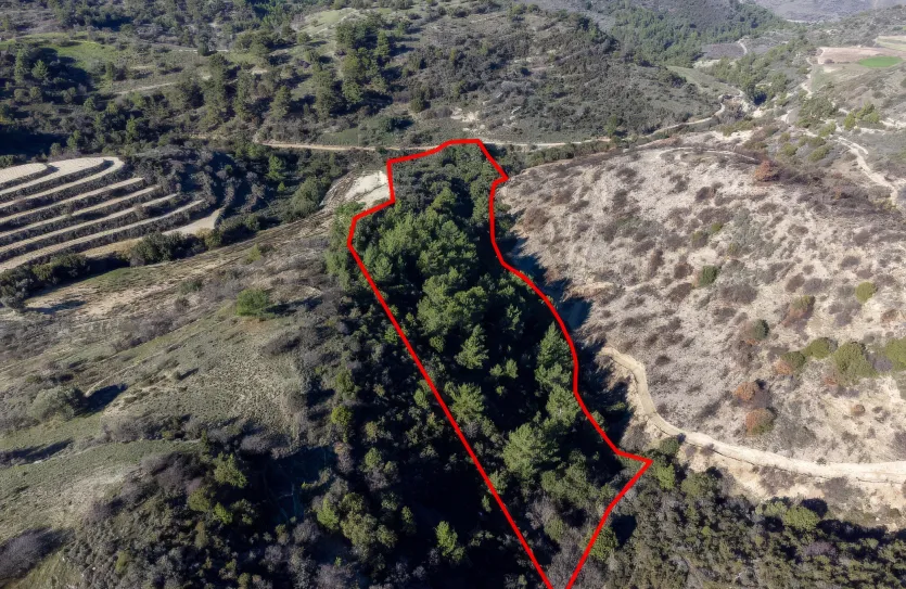 Сельхоз земля - 18272, photo 2