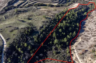 Сельхоз земля - 18272, photo 2