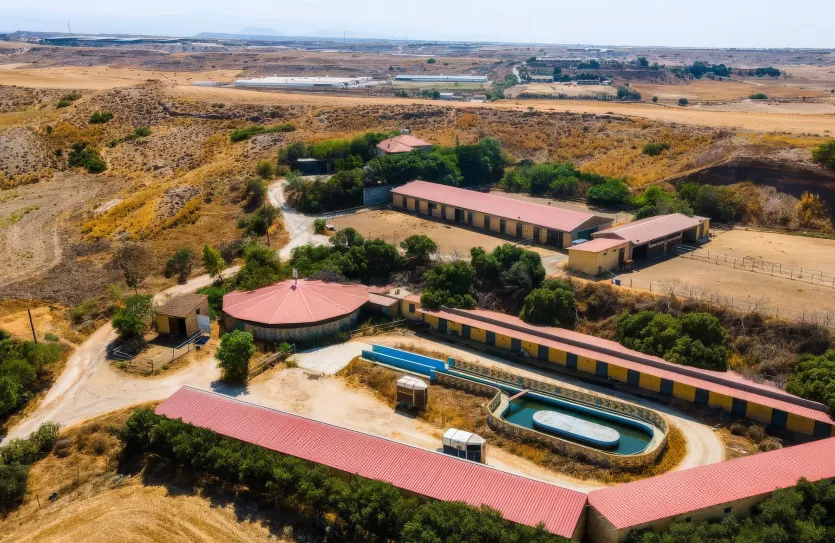 Agricultural land - 18289, photo 6