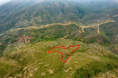 Agricultural land - 18287, photo 2