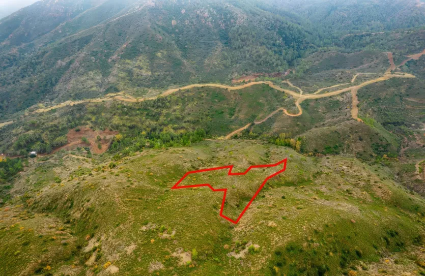 Agricultural land - 18287, photo 3