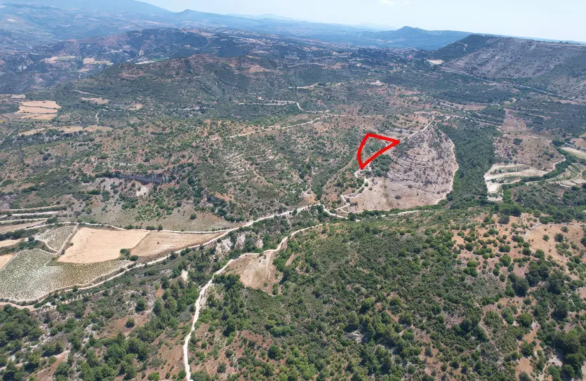 Сельхоз земля продажа - 18286