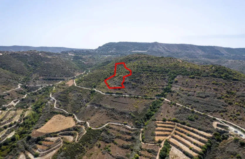 Сельхоз земля - 18285, photo 2