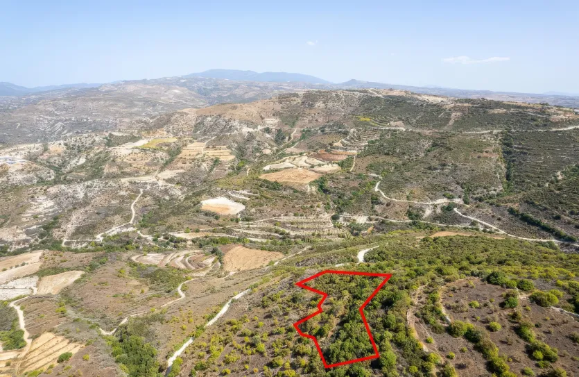 Сельхоз земля - 18285, photo 3