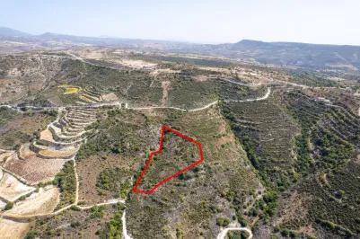 Сельхоз земля - 18284, photo 1