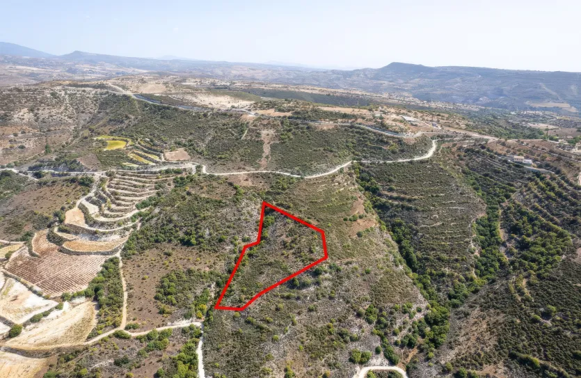 Сельхоз земля - 18284, photo 2