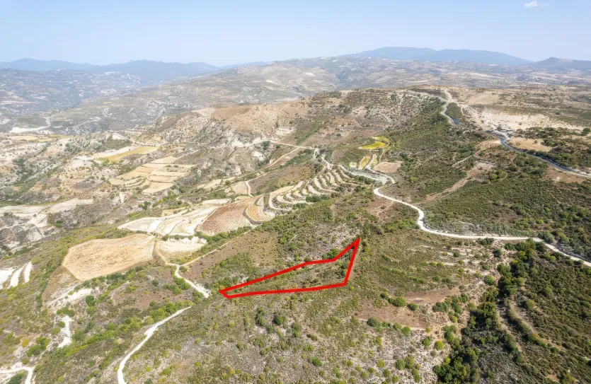 Сельхоз земля - 18284, photo 3