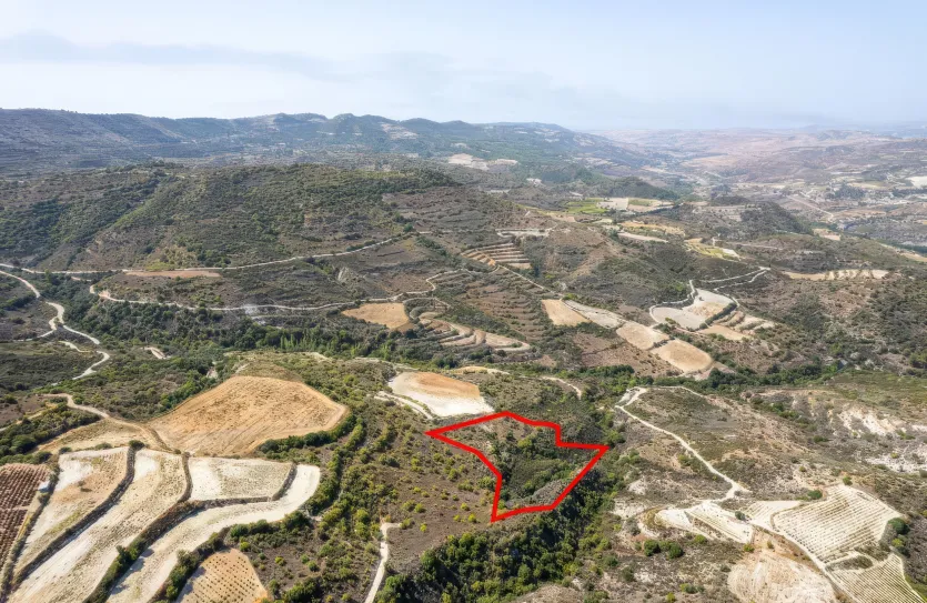 Сельхоз земля продажа - 18283