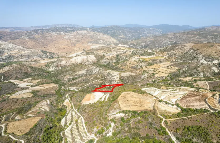 Сельхоз земля - 18283, photo 2