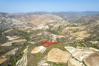 Сельхоз земля - 18283, photo 2