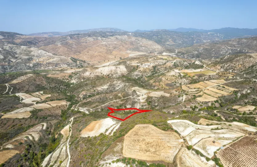 Сельхоз земля - 18283, photo 3