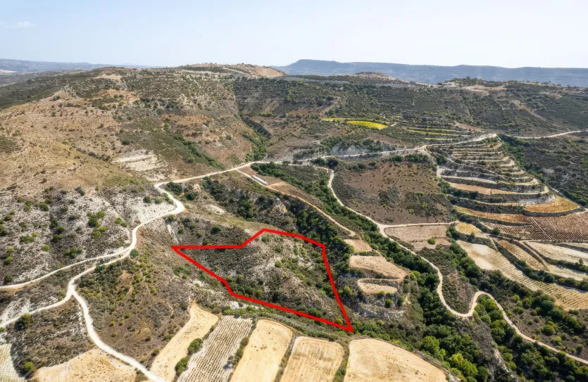 Сельхоз земля продажа - 18282