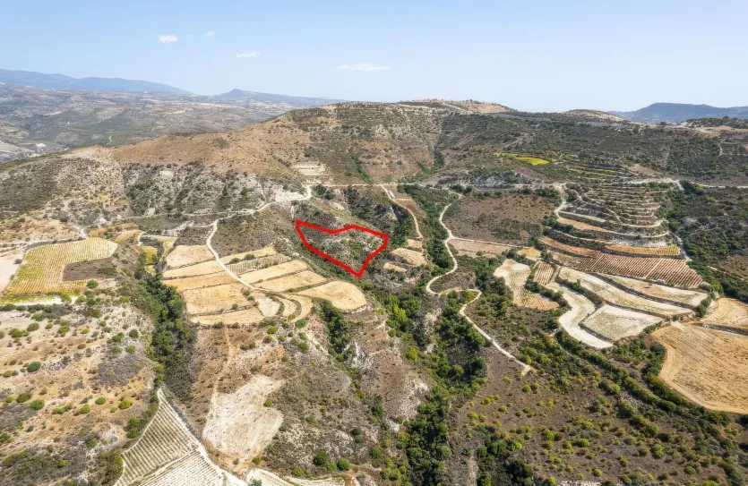 Сельхоз земля - 18282, photo 2