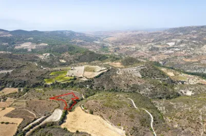 Сельхоз земля - 18281, photo 1