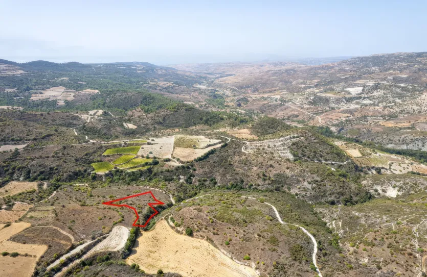 Сельхоз земля - 18281, photo 2