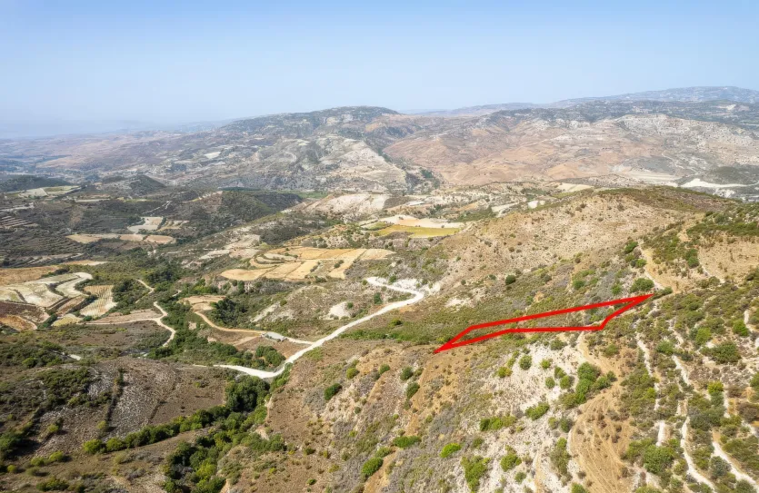 Сельхоз земля - 18280, photo 3