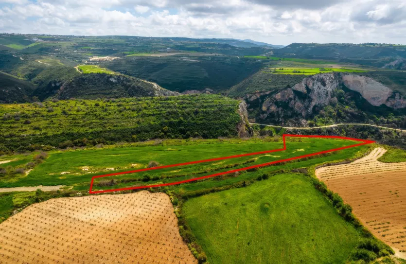 Сельхоз земля - 18293, photo 2