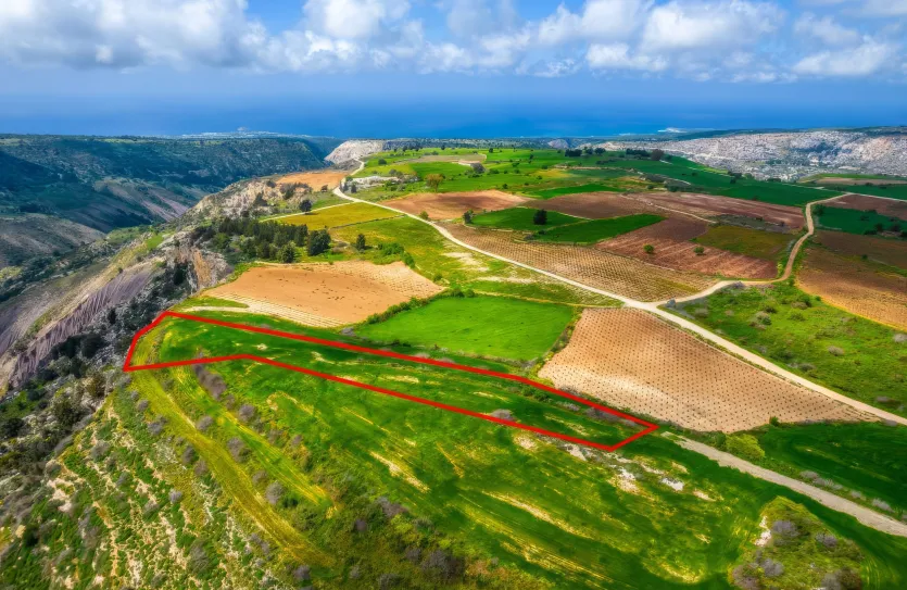 Сельхоз земля - 18293, photo 5