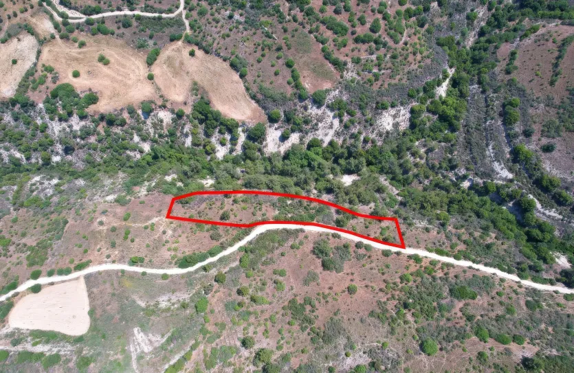 Сельхоз земля продажа - 18292