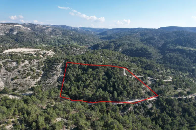 Сельхоз земля в Пано Архимандрита, Пафос