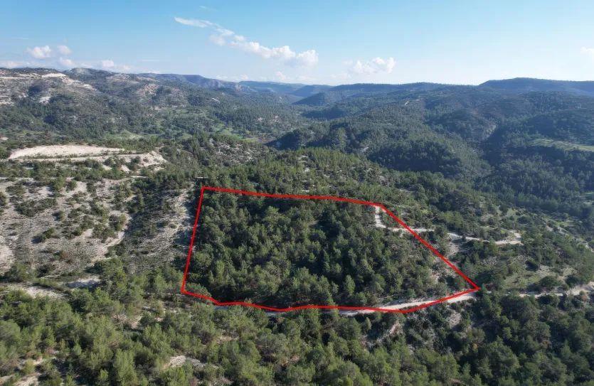 Сельхоз земля продажа - 18291