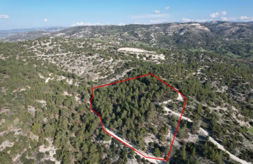 Сельхоз земля - 18291, photo 2