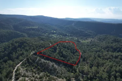 Сельхоз земля - 18291, photo 2