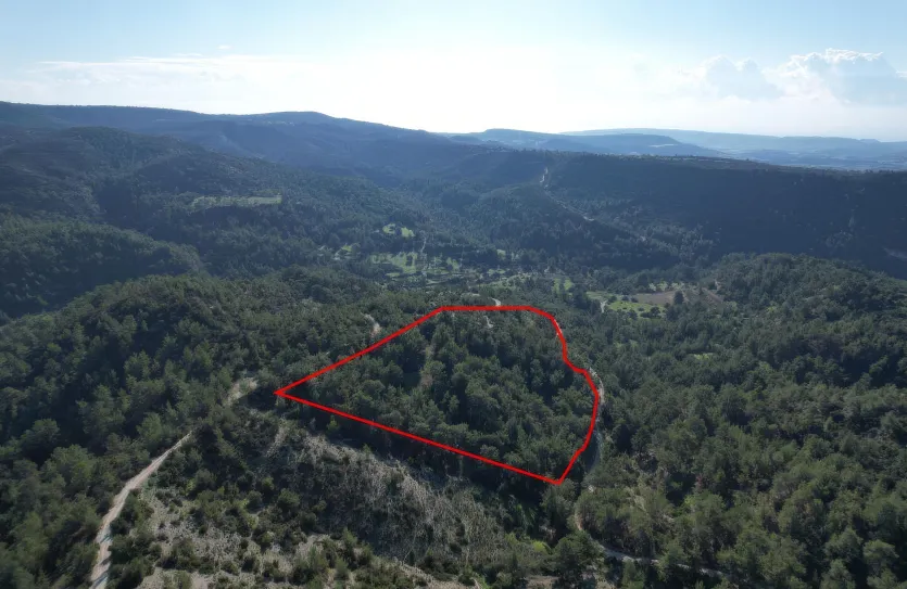 Сельхоз земля - 18291, photo 3