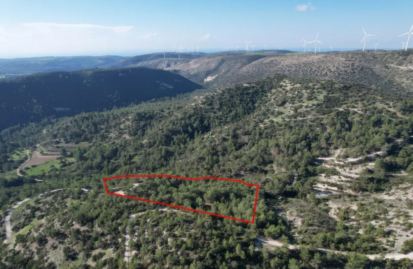 Сельхоз земля - 18291, photo 4