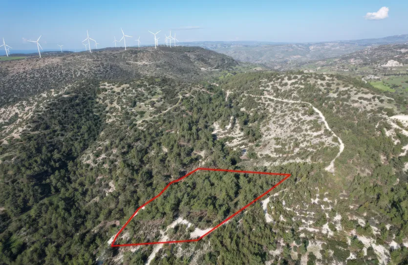 Сельхоз земля - 18291, photo 5