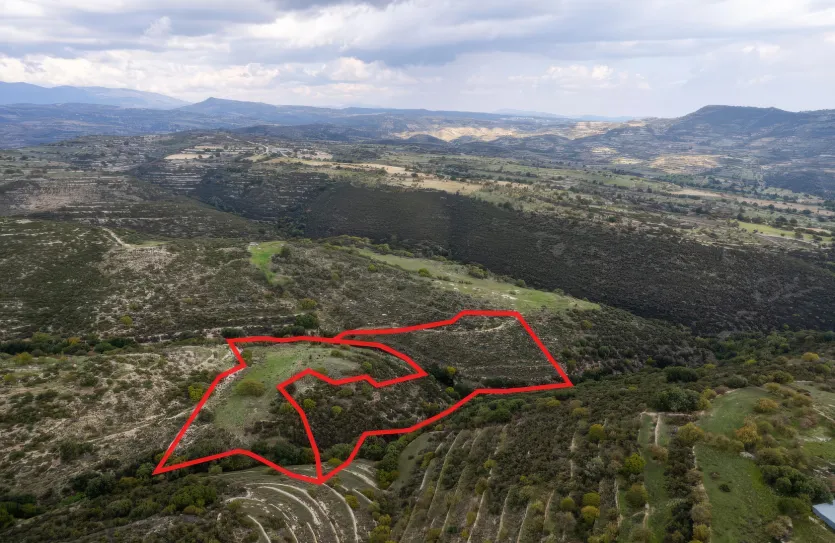 Сельхоз земля продажа - 18290