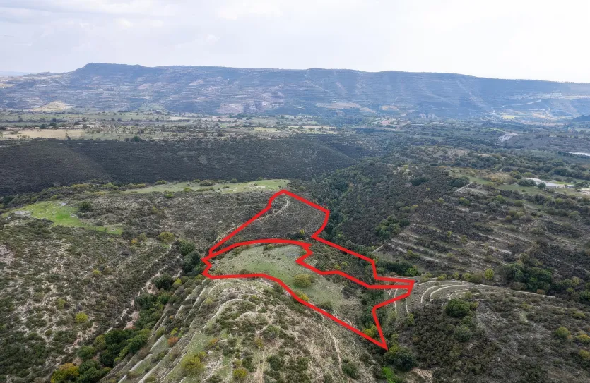 Сельхоз земля - 18290, photo 2