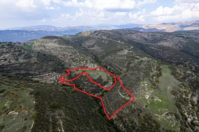 Сельхоз земля - 18290, photo 2