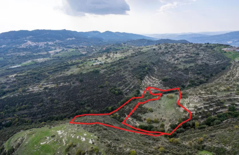 Сельхоз земля - 18290, photo 4