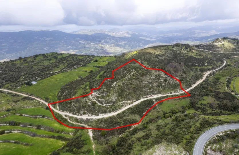 Сельхоз земля продажа - 18295