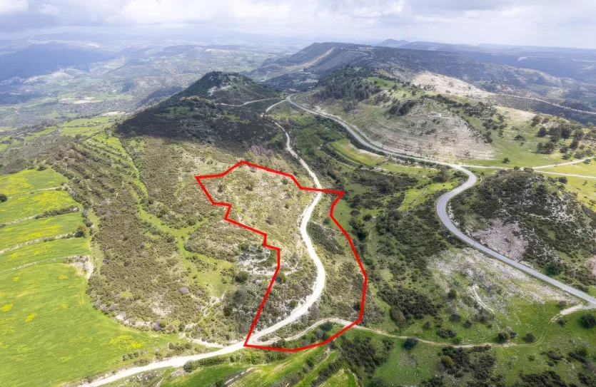 Сельхоз земля - 18295, photo 4