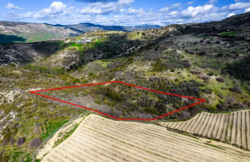 Сельхоз земля продажа - 18296