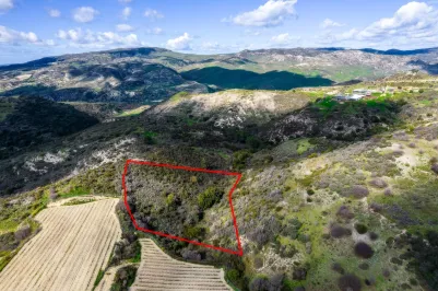 Сельхоз земля - 18296, photo 1