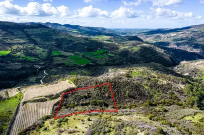 Сельхоз земля - 18296, photo 2