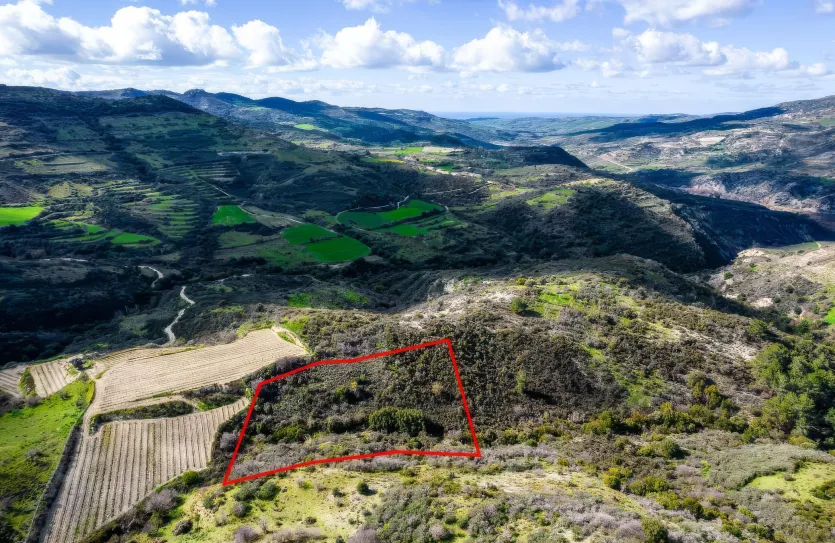 Сельхоз земля - 18296, photo 3