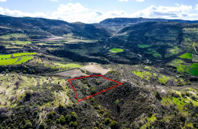 Сельхоз земля - 18296, photo 4