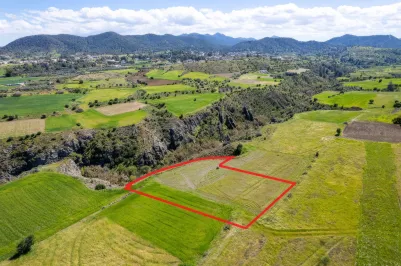 Agricultural land - 18294, photo 2