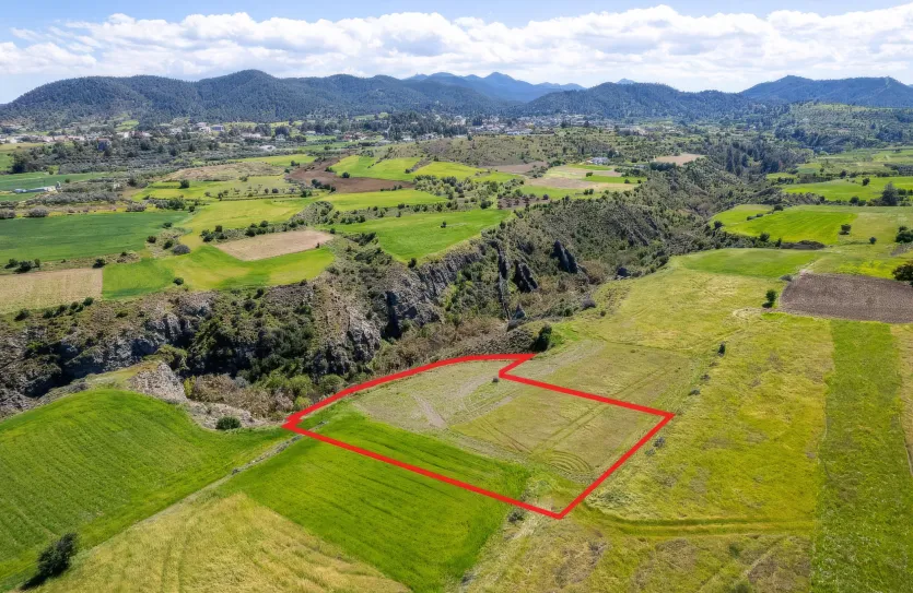 Agricultural land - 18294, photo 3